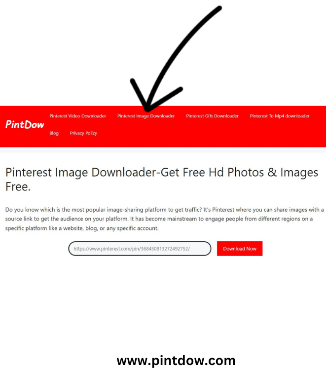 How to Download GIF from Pinterest